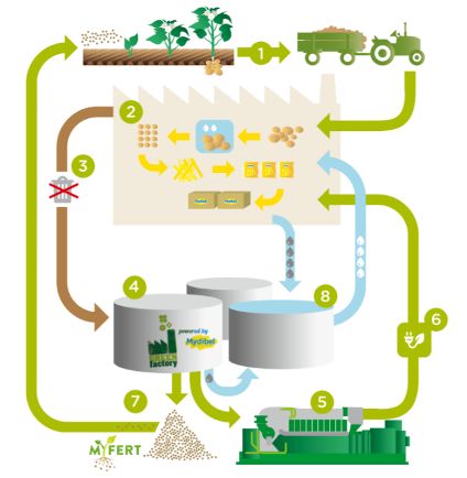 Mydibel green factory sustainability